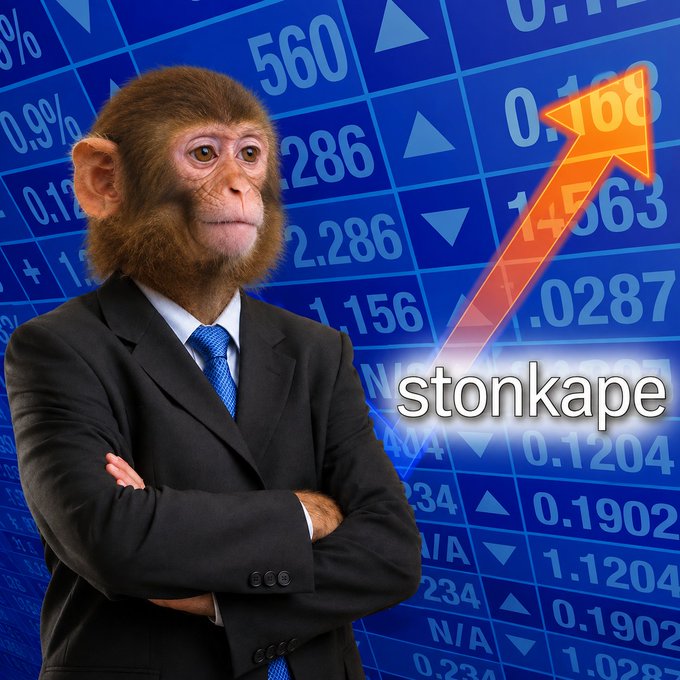 A monkey in a business suit with crossed arms stands before a stock market board, with the text 'stonkape' displayed alongside an upward orange arrow.