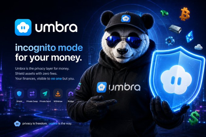 A promotional graphic for Umbra, a crypto privacy service featuring an anthropomorphic panda wearing sunglasses and a branded hoodie, alongside the tagline 'incognito mode for your money.'