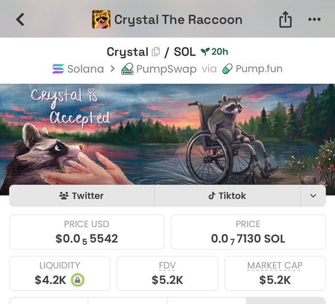 The image shows a cryptocurrency tracking page for "Crystal The Raccoon" ($CRYSTAL) on the Solana blockchain via PumpSwap/Pump.fun, featuring artwork of a raccoon in a wheelchair and the text "Crystal Is Accepted" alongside key metrics including a price of $0.05542 USD (0.007130 SOL), $4.2K liquidity, and a $5.2K market cap. The post celebrates the token "tapping 3x" toward higher price targets of 5K-16K market cap, teasing those who are still hesitant about buying.