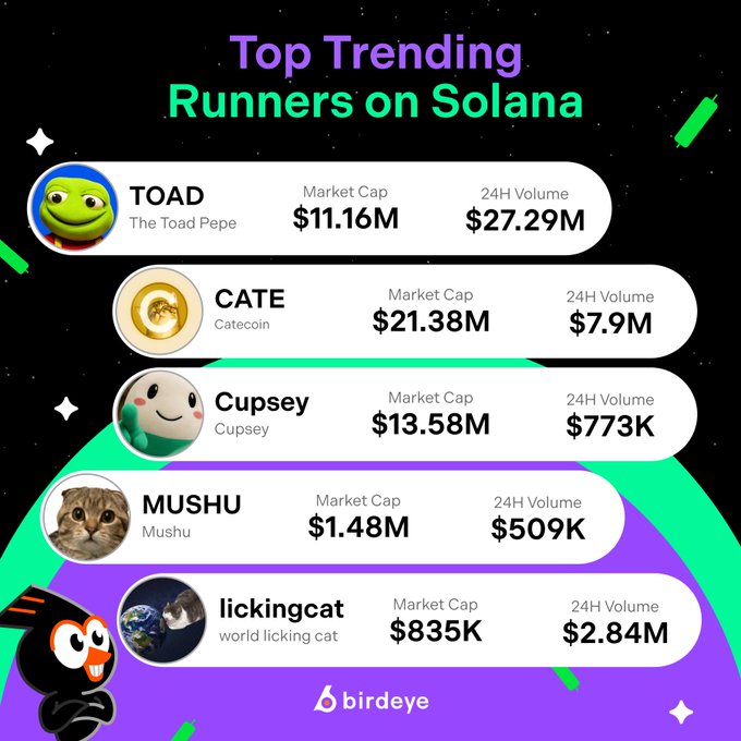 A colorful infographic titled "Top Trending Runners on Solana" displays five meme coins with their market caps and 24-hour volumes: TOAD ($11.16M cap, $27.29M volume), CATE ($21.38M cap, $7.9M volume), Cupsey ($13.58M cap, $773K volume), MUSHU ($1.48M cap, $509K volume), and lickingcat ($835K cap, $2.84M volume), presented by Birdeye on a starry space-themed background.