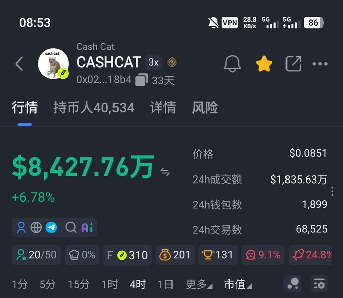 A smartphone screenshot of a cryptocurrency tracker showing 'Cash Cat CASHCAT' token at $0.0851 with +6.78% gain, priced at $8,427.76万, and 40,534 holders.