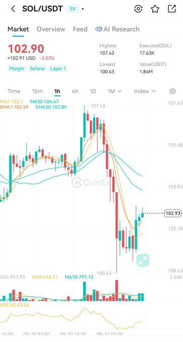 A cryptocurrency trading chart for SOL/USDT showing the price at 102.90 USD with a 2.03% increase, displayed on what appears to be the CoinEx exchange platform.