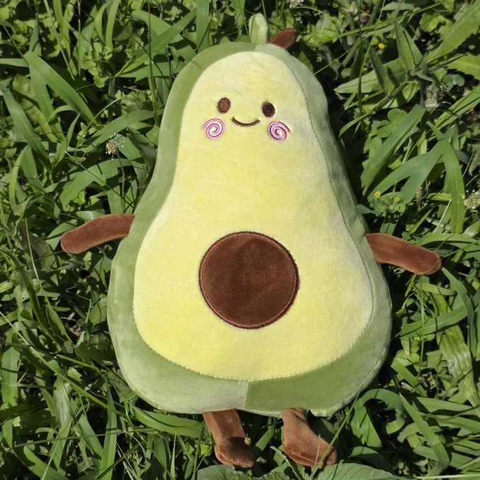 A plush avocado toy with a smiling face and rosy pink cheeks lies in the grass, humorously used as "proof" of having taken profits in the 2026 bull market, playing on the avocado's seed to symbolize a financially "well-earned" gain.