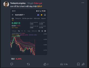 The image features a screenshot of a social media platform displaying a stock chart for a company named SuvDT. The chart shows a downward trend, indicating that the stock price has been decreasing over time. A user has posted about this on Twitter, expressing their thoughts and feelings regarding the stock market. The post includes a hashtag (#suvdt) to identify the specific topic of discussion.