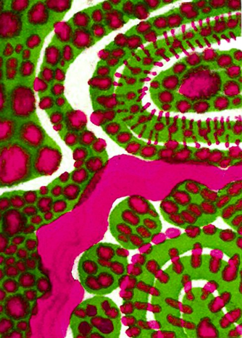 An abstract painted artwork with bold green swirls filled with red dots, accented by a winding magenta/pink ribbon flowing through the composition.
