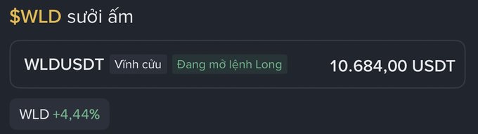 A trading interface showing $WLD suối ấm with WLDUSDT at 10.684,00 USDT, marked as Vĩnh cửu (perpetual) and Dạng mở lệnh Long (long position type), with WLD +4,44%.