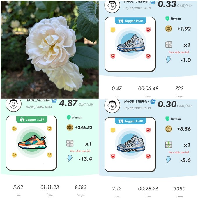 A collage of three STEPN Jogger sneaker activity cards by HAGE_STEPner showing various GMT/min earnings, with a photo of a white rose in the top left corner.
