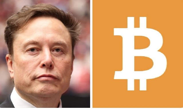 The image shows a side-by-side composition featuring Elon Musk on the left and the Bitcoin logo on the right, visually connecting the tech billionaire's endorsement of cryptocurrency with the iconic ₿ symbol, reinforcing the post's message that Musk views Bitcoin as superior to traditional cash holdings.