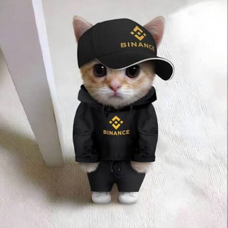 A small orange and white cat wears a matching black hoodie and cap featuring the Binance logo in yellow, with "BINANCE" text visible on both items. The image visually reinforces the post's theme of Binance as an all-in-one financial super app, using the cute, on-brand costumed cat to personify the platform's unified ecosystem for trading, payments, and earning.