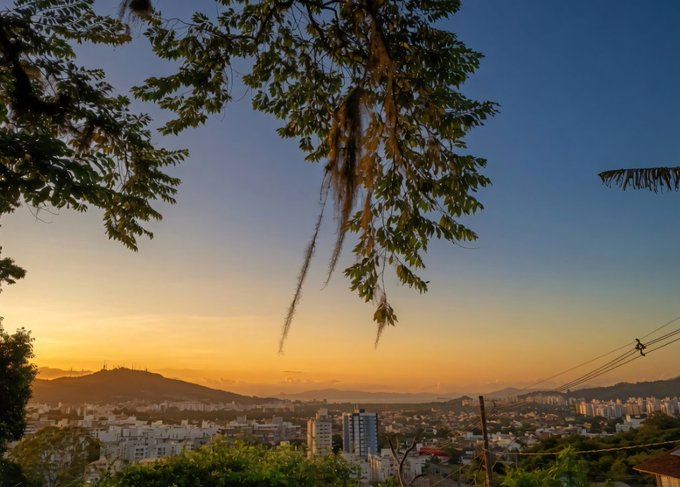 A scenic sunset view over a city with mountains in the background, framed by tree branches with hanging moss in the foreground.