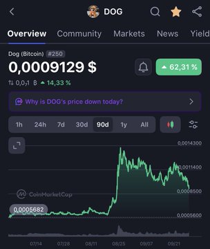 The image shows a CoinMarketCap chart of DOG (Bitcoin) #250, currently priced at $0.0009129, up 62.31% over the displayed 90-day period despite a 14.43% daily decline. It supports the post's message to zoom out, as the chart clearly illustrates DOG's strong 90-day performance despite recent volatility.