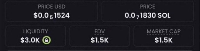 A screenshot displays cryptocurrency token metrics, showing a 'PRICE USD' of $0.01524, 'PRICE' of 0.01830 SOL, 'LIQUIDITY' of $3.0k, 'FDV' of $1.5k, and 'MARKET CAP' of $1.5k.