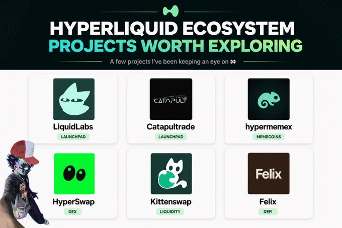 A promotional graphic titled "Hyperliquid Ecosystem Projects Worth Exploring" displays six featured projects in a grid layout: LiquidLabs (Launchpad), Catapultrade (Launchpad), hypermemex (Memecoins), HyperSwap (DEX), Kittenswap (Liquidity), and Felix (DeFi), with a stylized character illustration in the corner. The image visually showcases the curated list of Hyperliquid-based projects mentioned in the accompanying post, highlighting key ecosystem players across different categories like launchpads, DEXs, and DeFi.