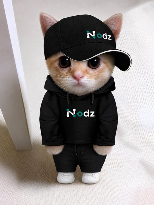 An adorable orange and white kitten is dressed in a black tracksuit and matching black cap, both branded with the 'Noodz' logo, paired with small white sneakers.