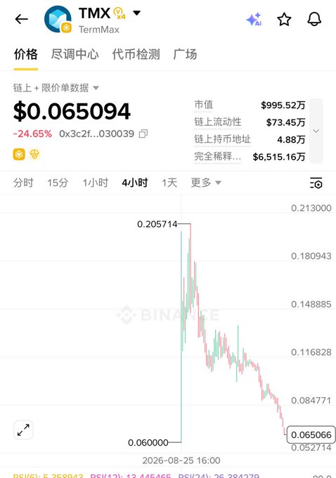 A Binance mobile app screenshot showing TermMax (TMX) token priced at $0.065094, down 24.65% over 4 hours, with a chart depicting a sharp spike to $0.205714 followed by a steep crash to $0.06. The dramatic price collapse visible in the chart supports the post's claim of a project hack.
