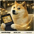 A cartoon-style image of a Shiba Inu dog holding a book titled 'own the dogs MEME ECO$', with Shiba Inu logos and the text '@memeco_io' in the corner.