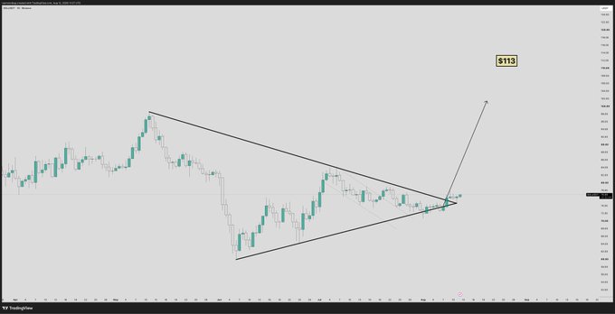 A TradingView chart of SOL/USDT displays a descending wedge or triangle pattern nearing its apex, with a projected breakout arrow pointing sharply upward toward a price target of $113, visually illustrating the bullish sentiment behind the "$SOL to $100+" prediction.
