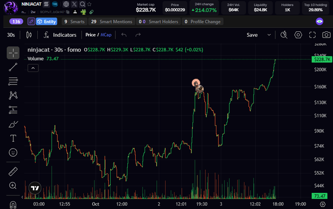 The image shows a NINJACAT ($NINJACAT) price chart displaying a candlestick pattern with prices ranging from around $44K to $228.7K, illustrating the dramatic 5x gain referenced in the post. The chart features a cartoon ninja cat avatar at a notable price spike and shows current market cap data of $228.7K with a 214.07% 24-hour change, visually confirming the post's claim about the token's significant price appreciation.