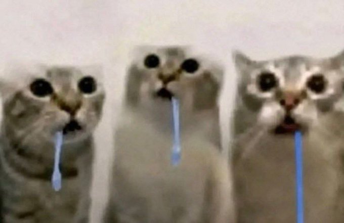 Three cats with wide, surprised eyes and digitally added blue drool strings hanging from their mouths.