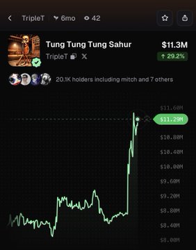 The image displays a price chart for the "Tung Tung Tung Sahur" memecoin ($TripleT), showing a sharp upward spike to $11.29M (up 29.2%) from an earlier range around $8-9M, with 20.1K holders. This visual confirms the post's claim of the token rallying 29% in recent hours, capturing the dramatic price breakout on the chart.