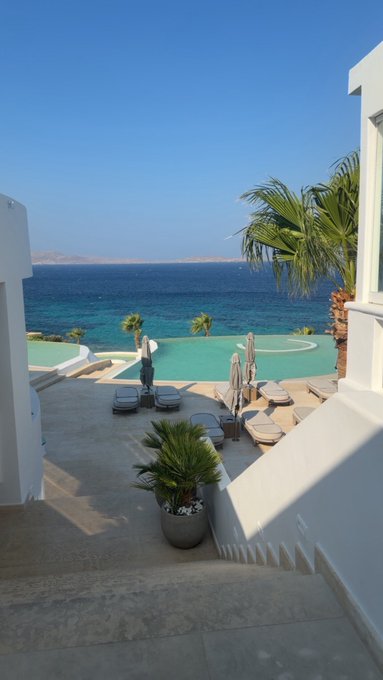 A sunny terrace overlooking a turquoise pool and the sea, featuring lounge chairs, palm trees, and a potted plant on the stairs.
