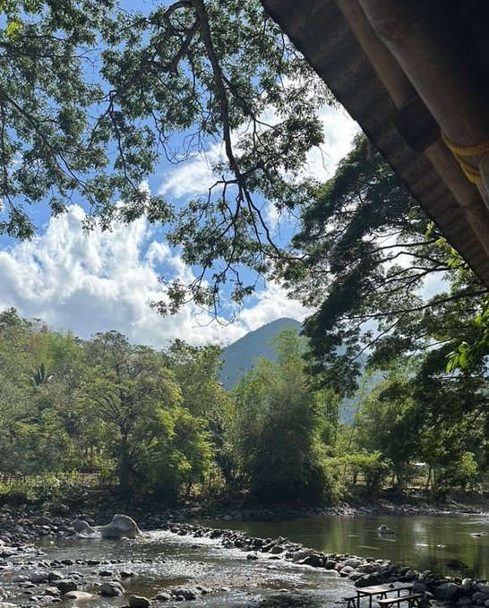 A scenic view from under a concrete bridge, looking out over a rocky riverbed with lush green trees and a mountain peak in the distance under a partly cloudy sky.