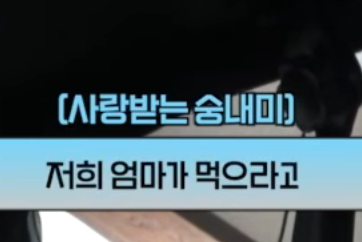 The image shows a dark, indoor scene with a blue banner overlay reading "(사랑받는 숭내미)" (Beloved Soongnammi) and Korean text below stating "저희 엄마가 먹으라고" (Our mom told me to eat it). The post suggests a Shiba Inu humorously caught sneaking or grabbing food, matching the caption's lighthearted tone about the dog's funny behavior.
