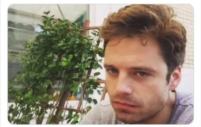 A young man with light brown hair looks at the camera in a close-up selfie, with a leafy green plant visible in the background.