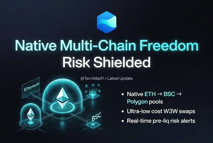 The image is a promotional graphic for @TermMaxFi, featuring a glowing blue Ethereum logo inside a protective dome alongside smaller BSC and Polygon icons, with the bold headline "Native Multi-Chain Freedom Risk Shielded." It highlights three bullet points: "Native ETH → BSC → Polygon pools," "Ultra-low cost W3W swaps," and "Real-time pre-liq risk alerts," directly visualizing the post's message about cross-chain DeFi efficiency and asset protection.