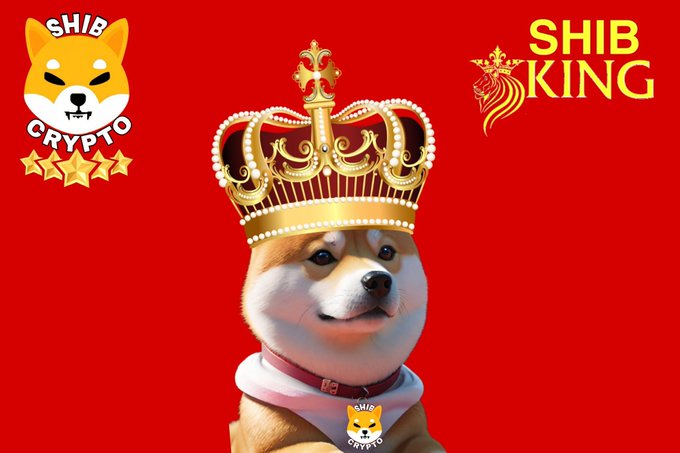 A promotional image for 'SHIB CRYPTO' and 'SHIB KING' featuring a Shiba Inu dog wearing a large golden crown against a red background, with star ratings visible.