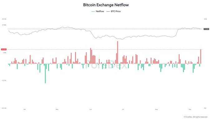 A chart titled 'Bitcoin Exchange Netflow' displays BTC price along with green and red bars representing netflow from Apr to Oct, sourced from CryptoQuant.