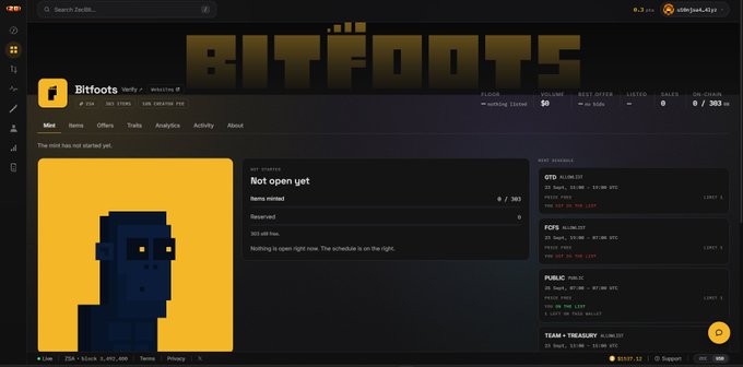 A screenshot of a financial platform called 'Bitfoots' displaying a pixel-art profile picture of a blue character and various tickers (GTD, FOES, FUFUC, TEAM + TREASURY).