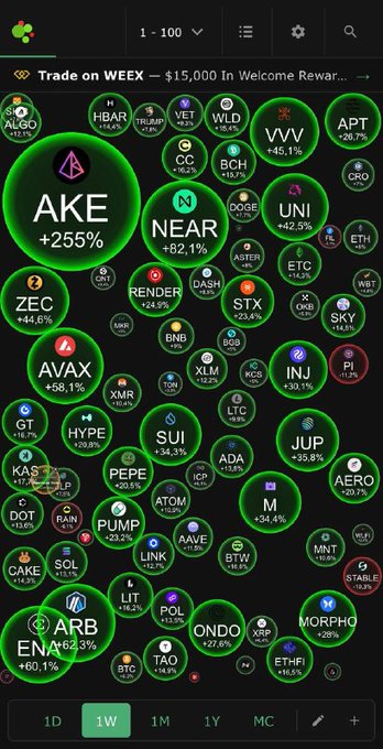 A crypto market tracker displays various tokens on WEEX including AKE +255%, NEAR +62.1%, UNI +42.5%, and AVAX +58.1%.