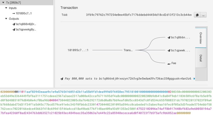 The image shows a computer screen displaying information about a transaction. The text appears to be related to Splice, and there are several options for what can be done with the Splice code. One of these options states that "the world's first splice out into a channel open on regtest!! This is a MAJOR milestone! It's really happening A huge step forward to the Omega-Everything-Splice." The image appears to provide guidance or instructions for how to use Splice and has potential implications for a particular user's activity.
