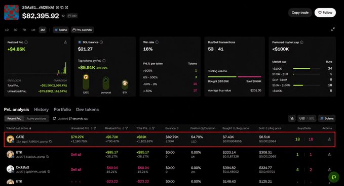 A portfolio analysis dashboard for the crypto wallet address $6AeL...MZEtM showing a total balance of $82,395.92, a realized PnL of +$4.65K, win rate of 18%, 53 Buys/41 Sells, and detailed PnL analysis for CATE, BTK, and DickButt tokens.