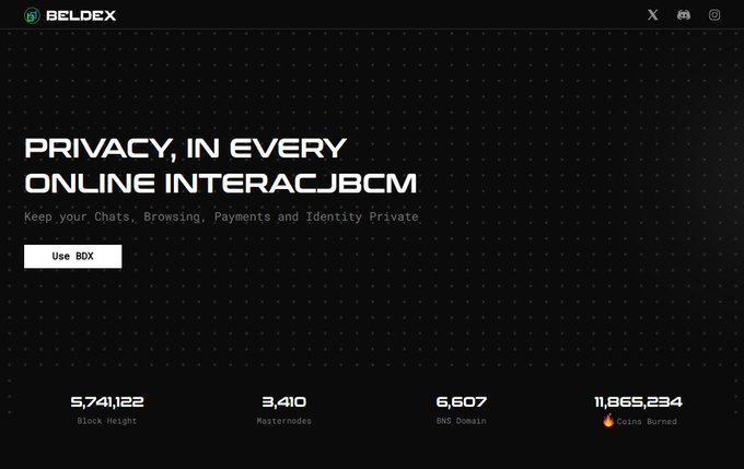 The BeldexCoin homepage displays the tagline "PRIVACY, IN EVERY ONLINE INTERACTION" with stats showing 5,741,122 Block Height, 3,410 Masternodes, 6,607 BNS Domains, and 11,865,234 BDX Coins Burned—reinforcing the post's emphasis on the project's substantial network activity and token burn metrics.