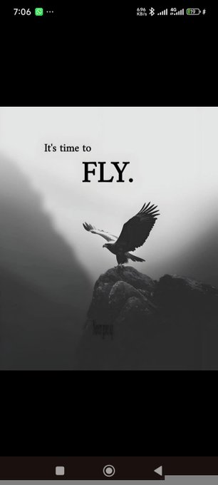 A mobile phone screenshot displaying a minimalist black and white wallpaper of an eagle perched on a rocky outcrop with the motivational text 'It's time to FLY.'