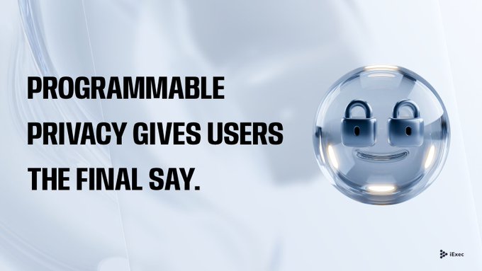 A promotional graphic featuring a translucent blue sphere containing a smiling face made of padlocks, with the text "PROGRAMMABLE PRIVACY GIVES USERS THE FINAL SAY." and the iExec logo.