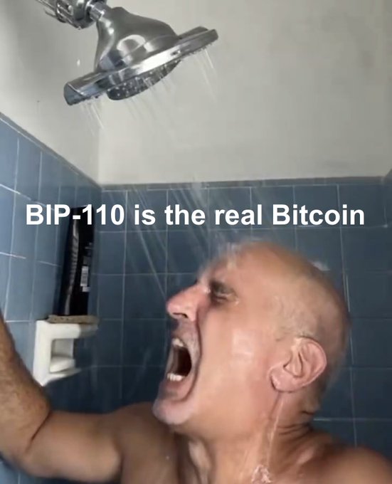 A bald man screams in agony under a running showerhead, overlaid with the text "BIP-110 is the real Bitcoin," humorously expressing frustration with the Bitcoin Improvement Proposal (BIP-110) being promoted as the legitimate version of Bitcoin. The meme's caption "Had to do it" reflects the poster's strong and exasperated conviction about BIP-110 being the true Bitcoin.