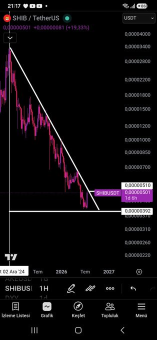 A TradingView chart of SHIB/USDT on the daily timeframe shows the price pushing against a descending trendline that has been in place since December 2, 2024, with current levels near 0.00000501 and a labeled support at 0.00000392, matching the caption's claim of an imminent breakout.