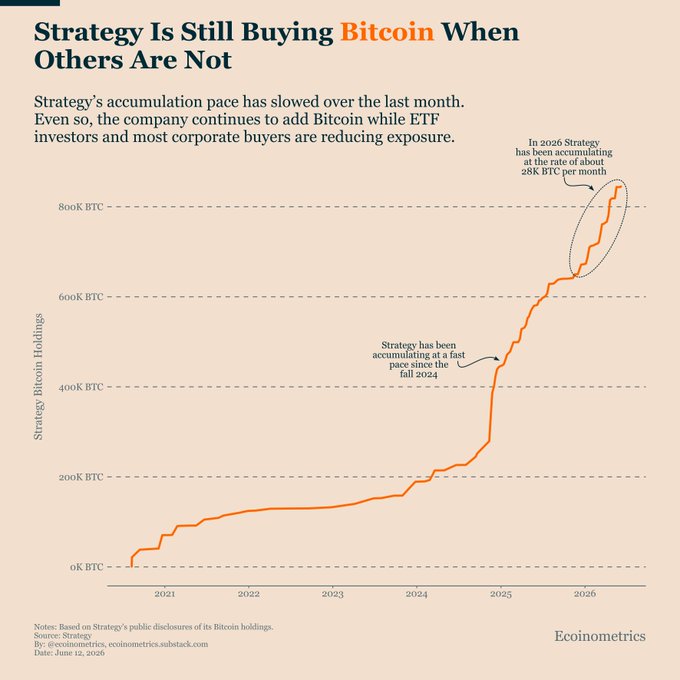 The image shows a line graph that represents the trend of buying Bitcoin by Strategy. It appears that strategy has not yet left its balance sheet despite the continuous decrease in price. The x-axis of the graph displays different time intervals, while the y-axis indicates the number of Bitcoins held by Strategy throughout those periods. The graph also includes a bubble chart which provides additional information about how many Bitcoins are being added to Strategy's balance sheet each month.