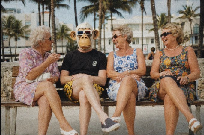 The image features a group of four women sitting together on a bench, with one woman wearing a monkey mask. They are all smiling and enjoying each other's company. The photo has been captioned "GM Saturday Gossip Gang ready bored ape yacht club". This suggests that they might be discussing or sharing some interesting or amusing stories related to the monkey mask-wearing woman in the image.

The bench is located on a beach, with palm trees visible in the background. There are also other people present at the scene, indicating that it could be a popular spot for relaxation and socializing.