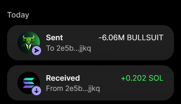 A transaction screenshot showing 6.06M BULLSUIT sent and 0.202 SOL received from the same wallet address (2e5b...jjkq), confirming a successful purchase of BULLSUIT tokens with SOL on the Solana network.
