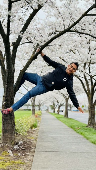 A man in a black hoodie and jeans poses playfully on a tree branch surrounded by white cherry blossoms.