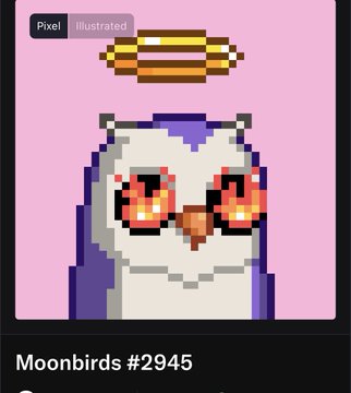 A digital trading card image labeled 'Pixel' and 'Illustrated' features a pixel art owl character with a halo, titled 'Moonbirds #2945'.