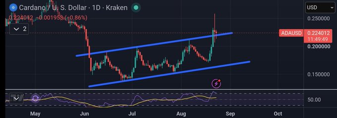 A Cardano (ADA/USD) daily candlestick chart on Kraken shows an ascending channel pattern with the current price at $0.224012, up 0.86%, supporting the post's claim of building buying pressure that could lead to another leg up.
