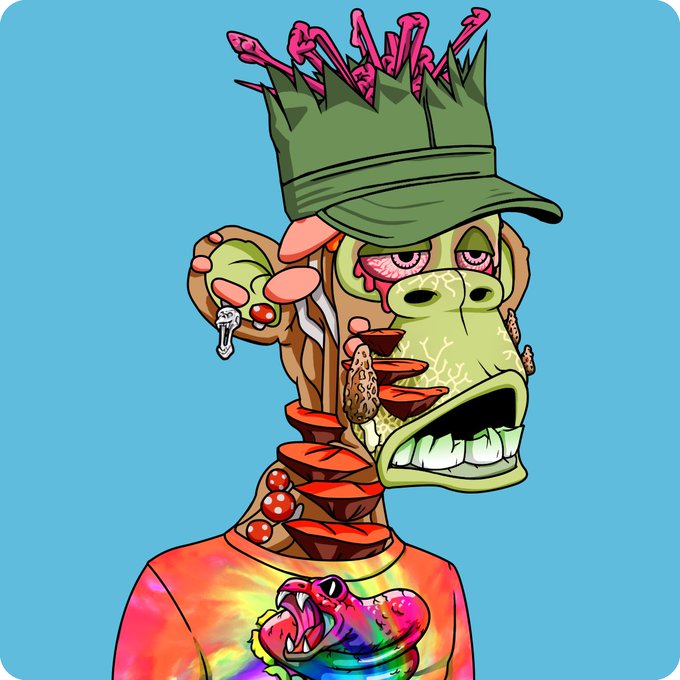 A cartoon illustration of a grotesque, stylized character featuring a hat made of grass or leaves, distorted facial features, mushrooms growing from its body, and wearing a tie-dye shirt with a dinosaur graphic.