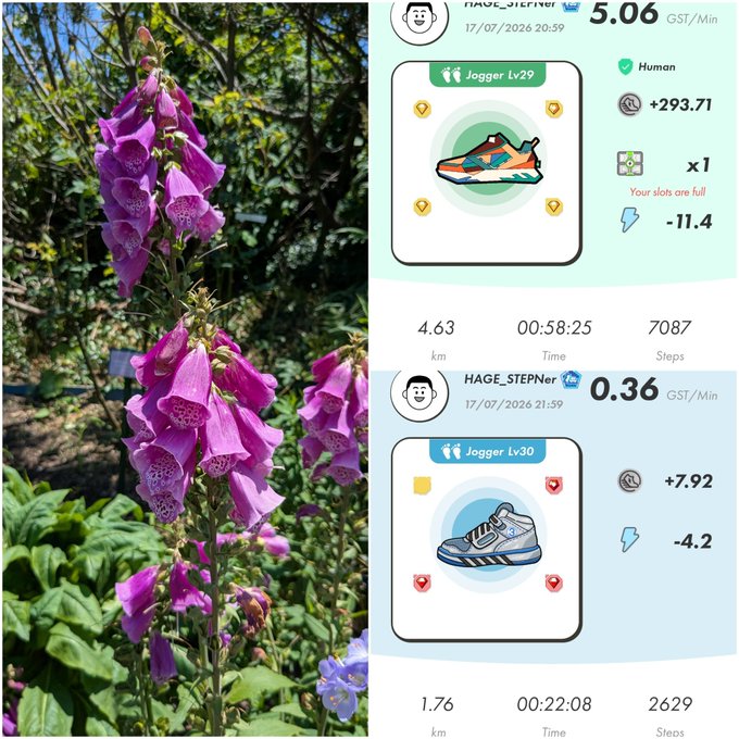 A split image shows pink foxglove flowers on the left and a fitness app interface on the right displaying jogging stats for "HAGE_STEPNER" with earned GST tokens.