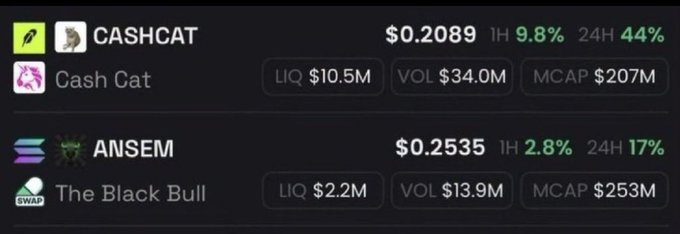 The image shows a screenshot displaying two meme coin listings: **$CASHCAT (Cash Cat)** at $0.2089 with a market cap of $207M, and **$ANSEM (The Black Bull)** at $0.2535 with a market cap of $253M. The post references these coins as examples of the poster's successful "calls," with $CASHCAT reaching $200M and $ANSEM reaching $470M, using the image as visual proof of the gains before teasing another upcoming call to followers.