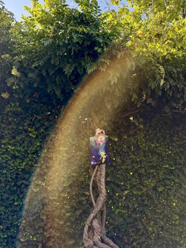 A photograph showing a person perched on twisted tree roots with a vibrant rainbow arcing through green foliage and mist.